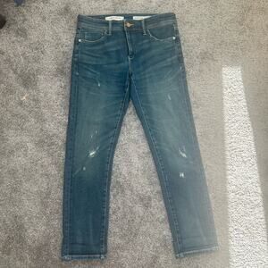 Anthropologie by Pilcro Size 28 Slim Boyfriend Inseam 29.5 inches distressed